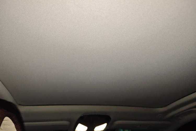 Used BMW X3 2018 xDrive28i Luxury Package China VI Emission Standard Headliner