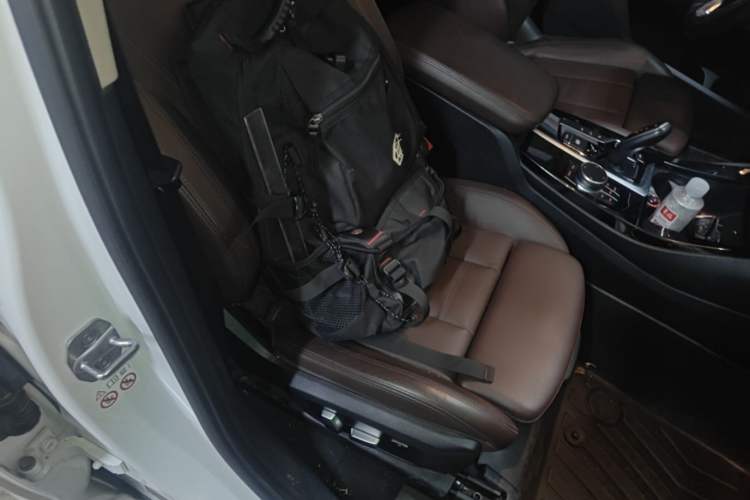 Used BMW X3 2018 xDrive25i Luxury Package China V Right Front Seat