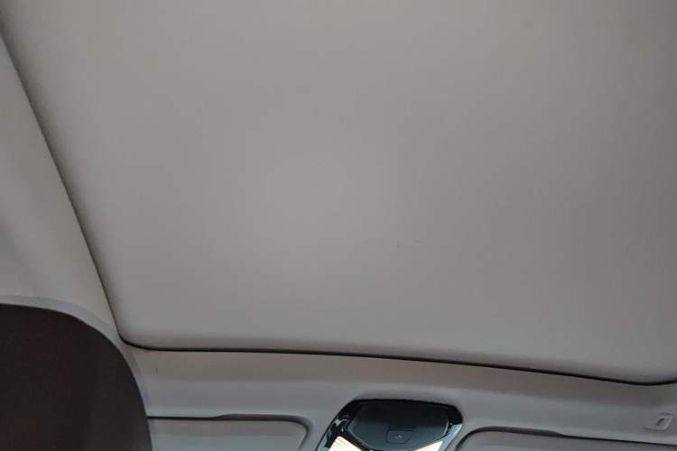 Used BMW X3 2019 xDrive28i Luxury Package Headliner