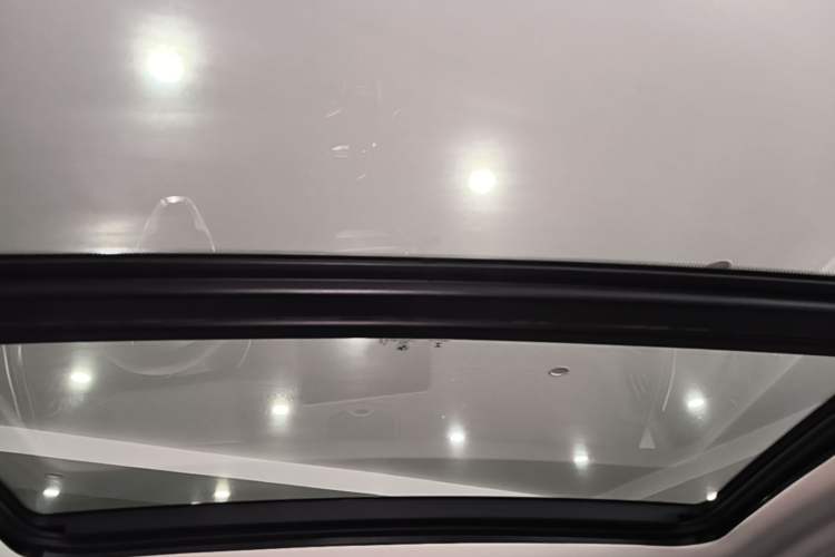 Used BMW X3 2019 xDrive28i Luxury Package Headliner