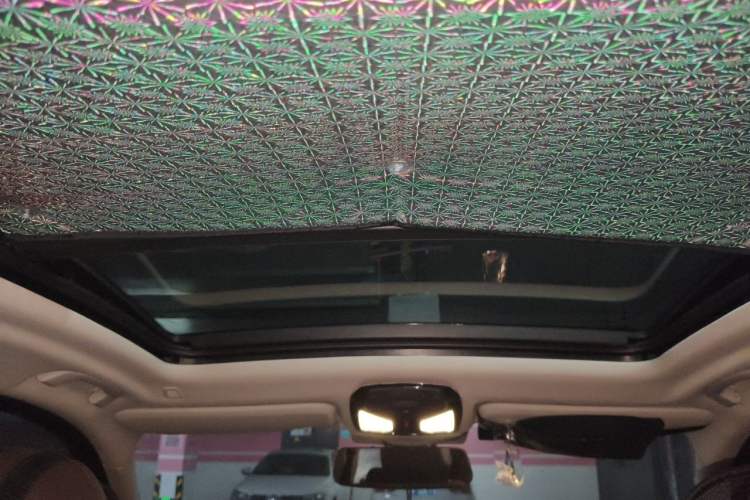 Used BMW X3 2019 xDrive25i Luxury Package Headliner