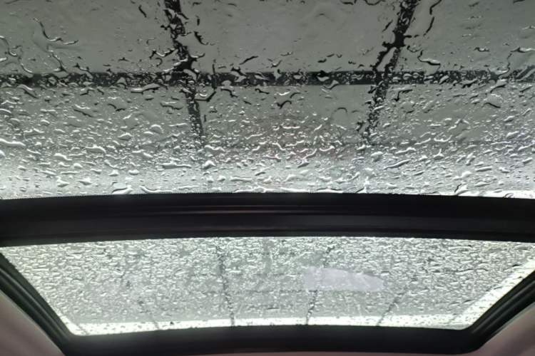 Used BMW X3 2019 xDrive28i M Sport Package Headliner
