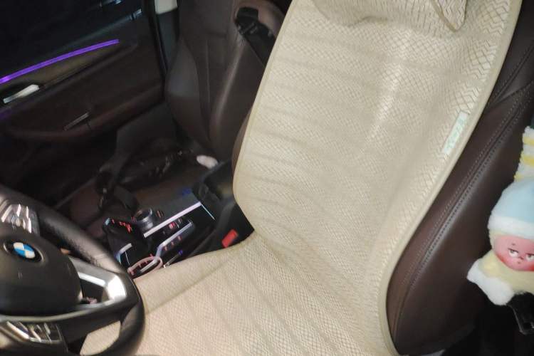 Used BMW X3 2019 xDrive28i Luxury Package Left Front Seat