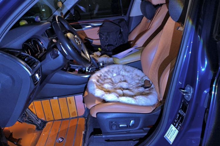 Used BMW X3 2019 xDrive28i M Sport Package Left Front Seat
