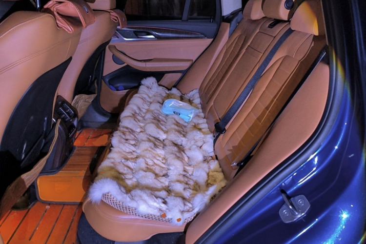 Used BMW X3 2019 xDrive28i M Sport Package Left Rear Seat
