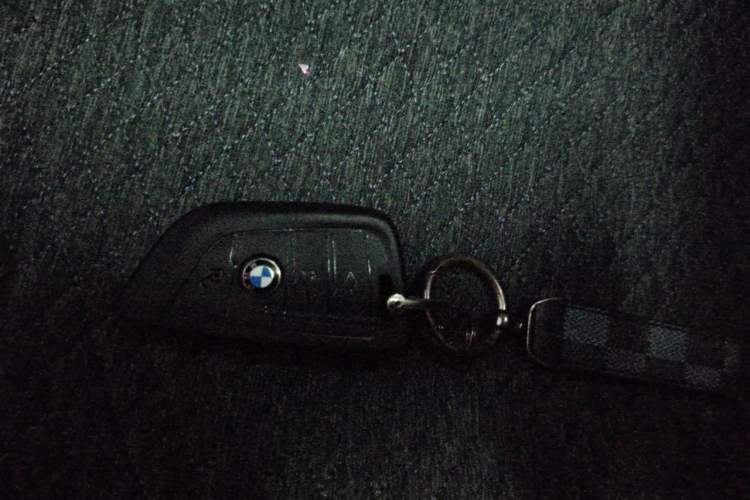 Used BMW X3 2019 xDrive25i Luxury Package Vehicle Key