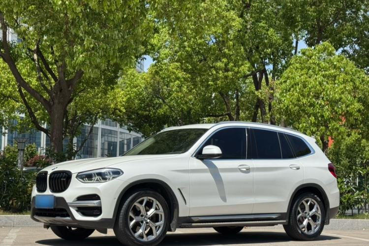 Used BMW X3 2019 xDrive28i Luxury Package Exterior 5