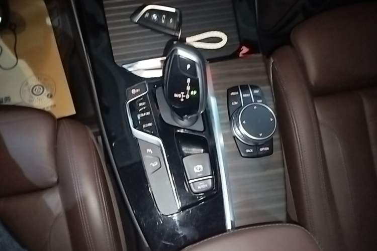Used BMW X3 2019 xDrive28i Luxury Package Gear Lever