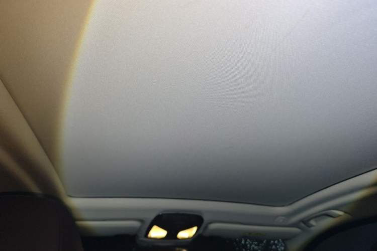 Used BMW X3 2019 xDrive28i Luxury Package Headliner