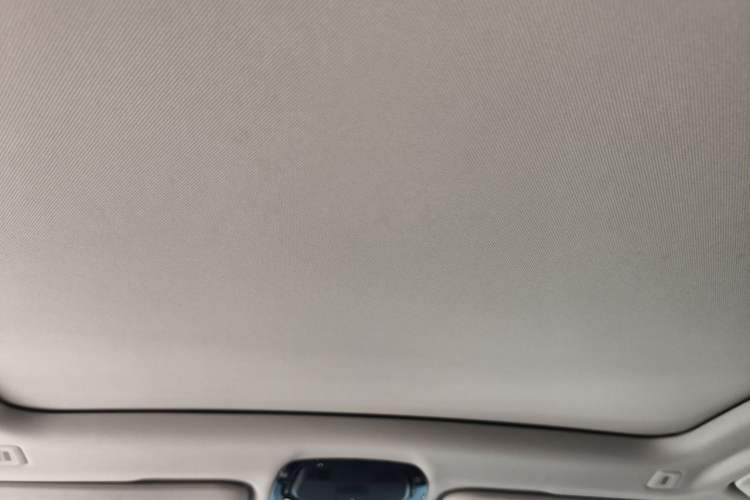 Used BMW X3 2019 xDrive28i Luxury Package Headliner