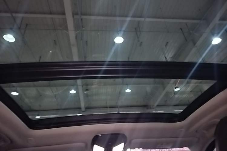 Used BMW X3 2019 xDrive28i Luxury Package Headliner