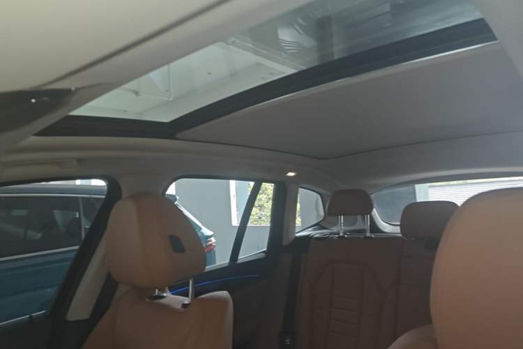 Used BMW X3 2019 xDrive28i Luxury Package Headliner