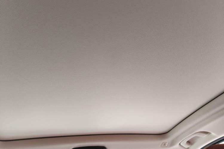Used BMW X3 2019 xDrive25i Luxury Package Headliner