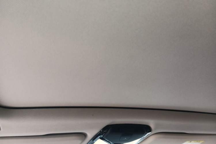 Used BMW X3 2020 xDrive28i Luxury Package Headliner