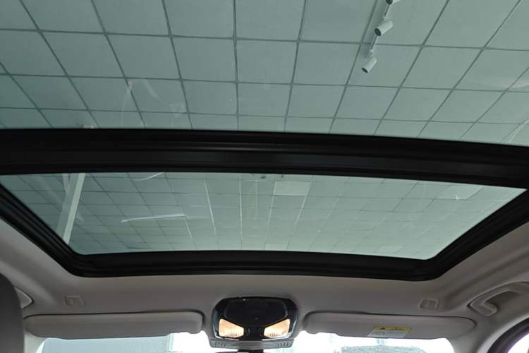 Used BMW X3 2020 xDrive28i Luxury Package Headliner