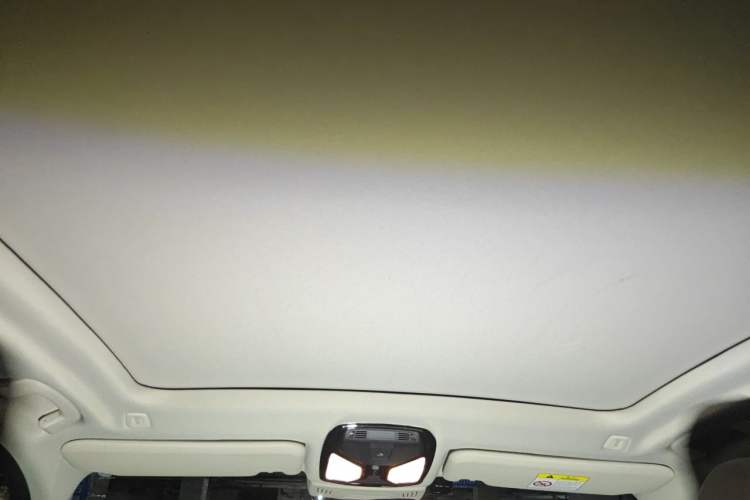 Used BMW X3 2020 xDrive28i Luxury Package Headliner