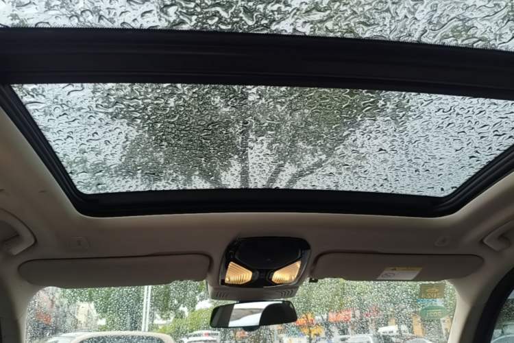 Used BMW X3 2020 xDrive28i Luxury Package Headliner