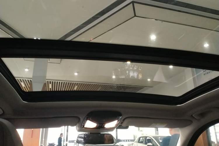 Used BMW X3 2020 xDrive28i Luxury Package Headliner