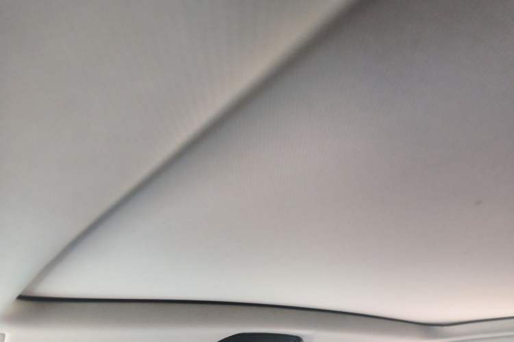 Used BMW X3 2020 xDrive28i Luxury Package Headliner
