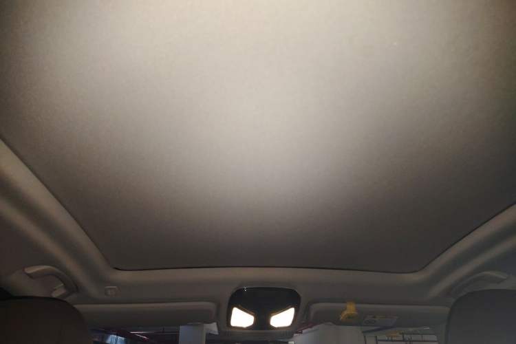 Used BMW X3 2020 xDrive25i Luxury Package Headliner