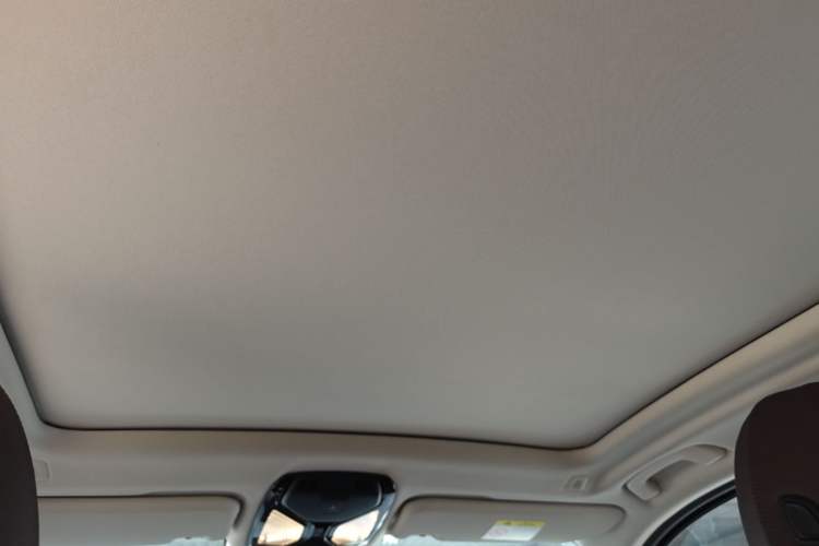 Used BMW X3 2020 xDrive28i Luxury Package Headliner
