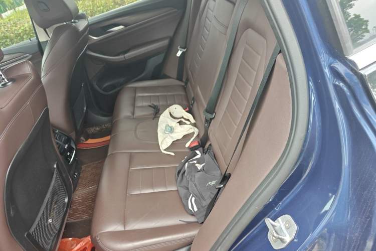Used BMW X3 2020 xDrive28i Luxury Package Left Rear Seat