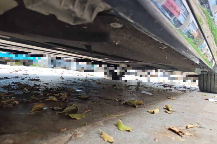 Used BMW X3 2020 xDrive25i M Sport Package Chassis Front Left