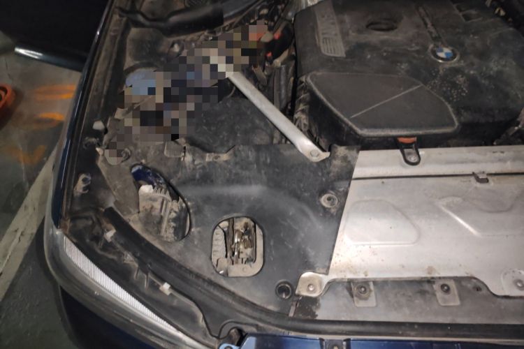 Used BMW X3 2020 xDrive28i M Sport Package Engine Bay Right