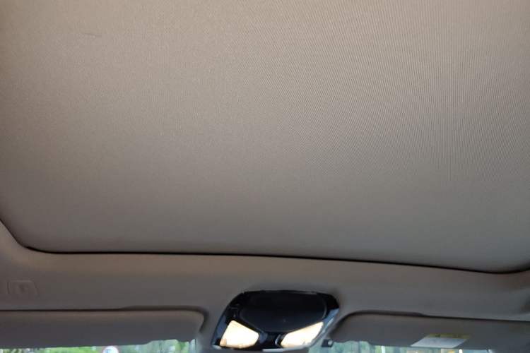 Used BMW X3 2020 xDrive25i Luxury Package Headliner