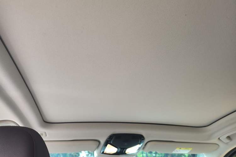 Used BMW X3 2020 xDrive25i Luxury Package Headliner