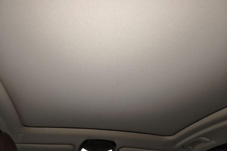 Used BMW X3 2020 xDrive25i Luxury Package Headliner