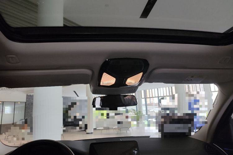 Used BMW X3 2020 xDrive28i Luxury Package Headliner