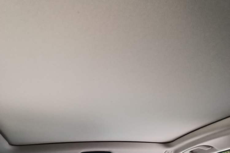 Used BMW X3 2020 xDrive28i Luxury Package Headliner