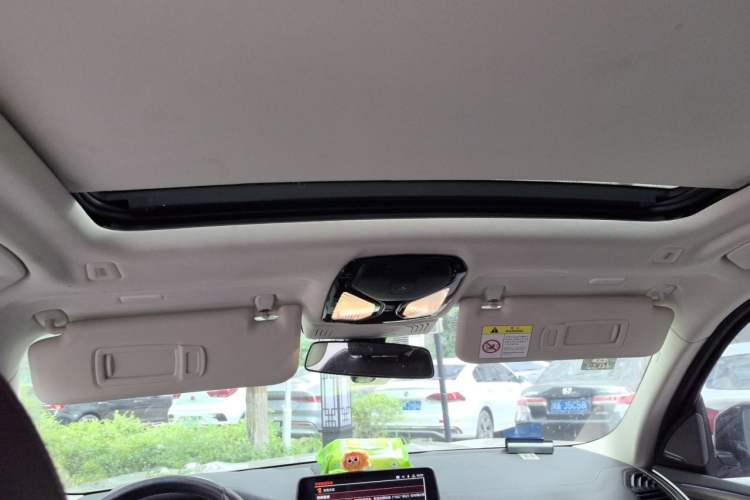 Used BMW X3 2020 xDrive28i Luxury Package Headliner