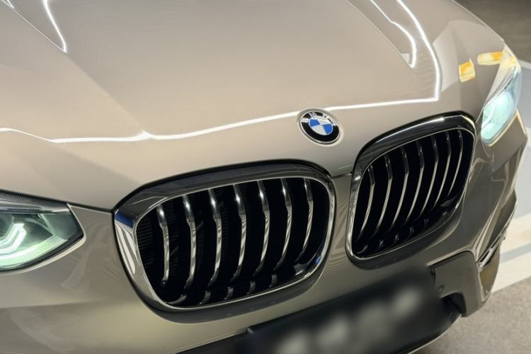 Used BMW X3 2020 xDrive25i Luxury Package Exterior 8
