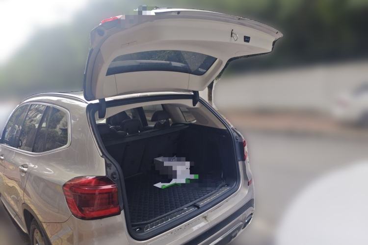 Used BMW X3 2020 xDrive28i Luxury Package Trunk