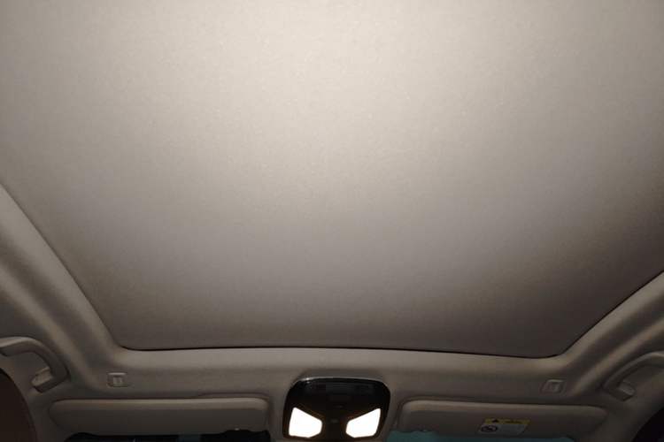 Used BMW X3 2020 xDrive28i Luxury Package Headliner