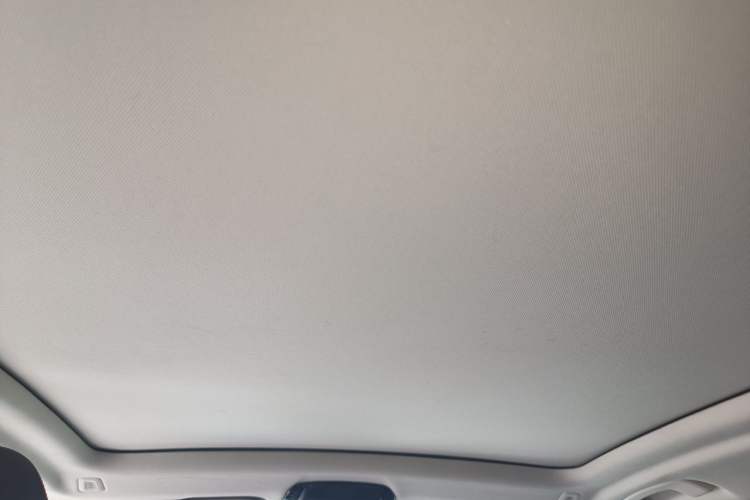 Used BMW X3 2020 xDrive28i Luxury Package Headliner