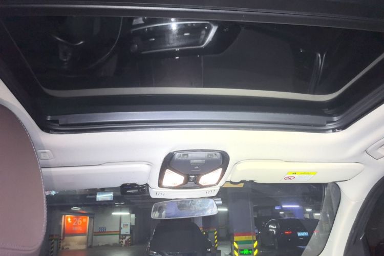 Used BMW X3 2020 xDrive25i Luxury Package Headliner