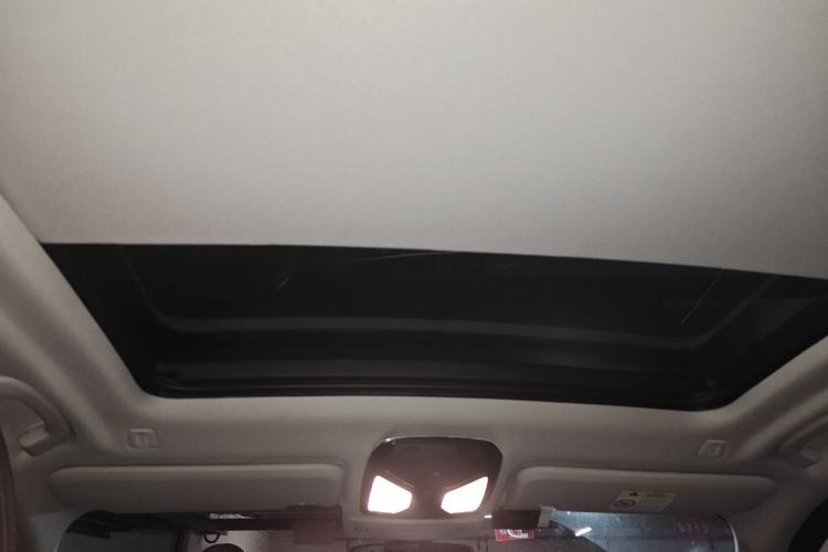 Used BMW X3 2020 xDrive28i Luxury Package Headliner