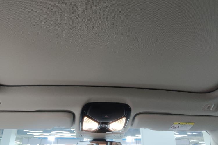 Used BMW X3 2020 xDrive28i Luxury Package Headliner