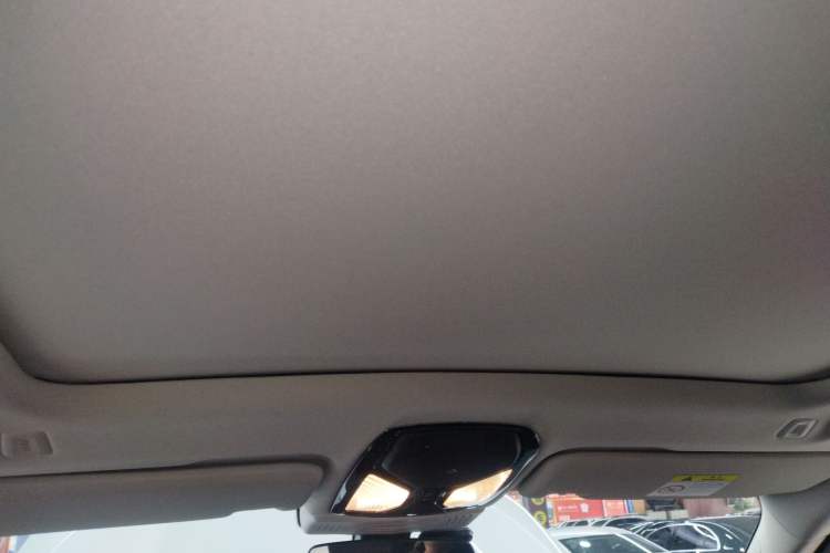 Used BMW X3 2020 xDrive28i Luxury Package Headliner