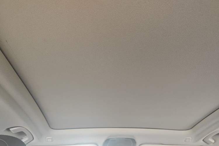 Used BMW X3 2020 xDrive28i Luxury Package Headliner