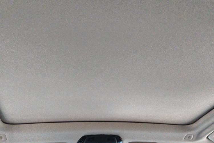 Used BMW X3 2020 xDrive28i Luxury Package Headliner