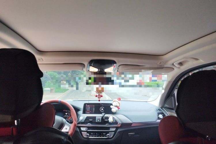 Used BMW X3 2020 xDrive28i Luxury Package Headliner