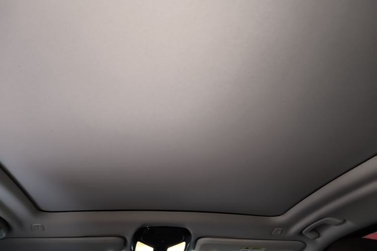 Used BMW X3 2020 xDrive28i Luxury Package Headliner