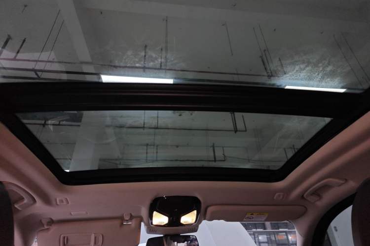 Used BMW X3 2020 xDrive28i Luxury Package Headliner