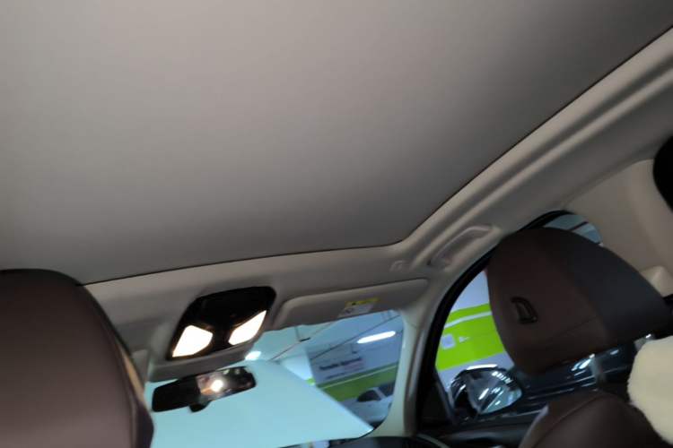 Used BMW X3 2020 xDrive28i Luxury Package Headliner