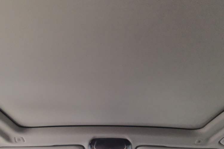 Used BMW X3 2020 xDrive25i Luxury Package Headliner