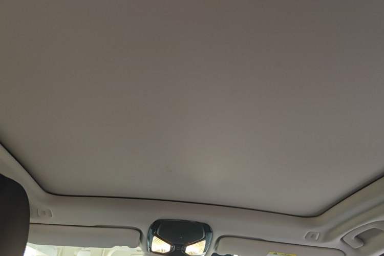 Used BMW X3 2020 xDrive28i Luxury Package Headliner